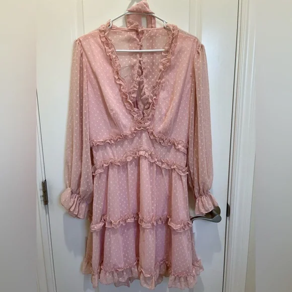 Dusty Pink Swiss Dot Mini Dress with Ruffles – Size Large - Picture 4 of 15